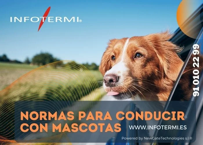 Normas para Conducir con Mascotas